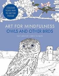 bokomslag Art for Mindfulness: Owls and Other Birds
