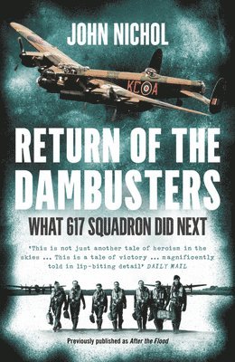 bokomslag Return of the Dambusters