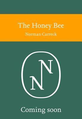 Honey Bee