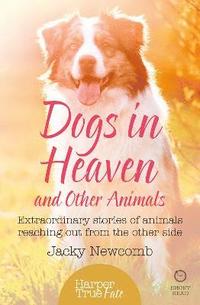 bokomslag Dogs in Heaven: and Other Animals