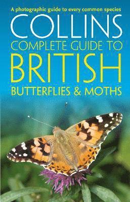 bokomslag British Butterflies and Moths