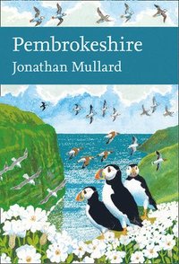 bokomslag Pembrokeshire