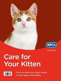 bokomslag Care for Your Kitten