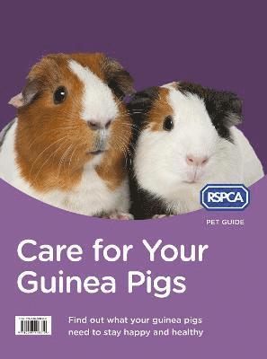 Care for Your Guinea Pigs 1