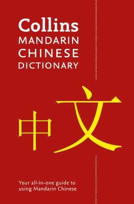 bokomslag Mandarin Chinese Paperback Dictionary