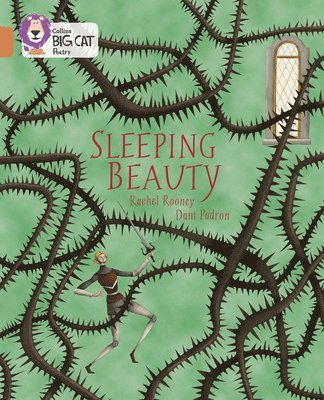 bokomslag Sleeping Beauty