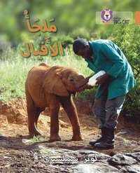 bokomslag Elephant Sanctuary
