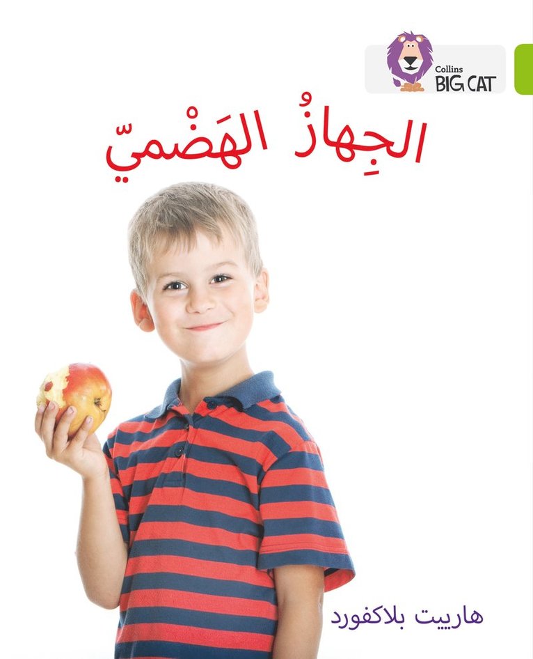 Digestive System