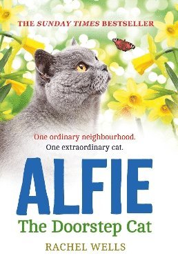 Alfie the Doorstep Cat 1