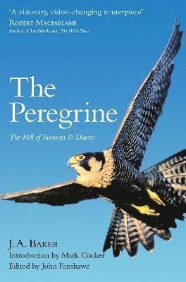 bokomslag The Peregrine