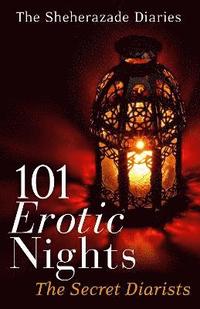 bokomslag 101 Erotic Nights