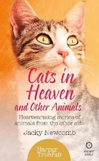 bokomslag Cats in Heaven