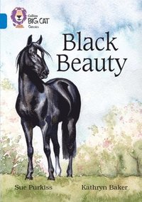 bokomslag Black Beauty