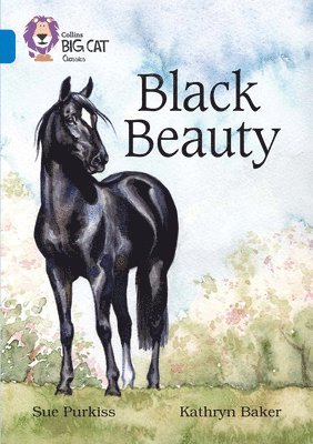 Sue Purkiss, Harpercollins Uk - Black Beauty, Häftad