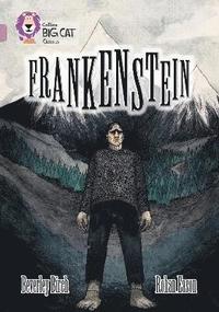 bokomslag Frankenstein