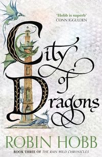 bokomslag City of Dragons