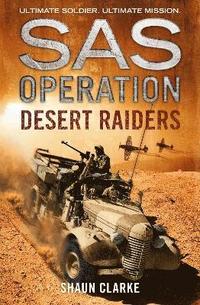 bokomslag Desert Raiders