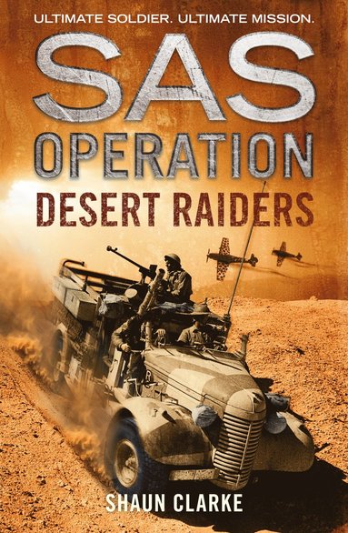 bokomslag Desert Raiders