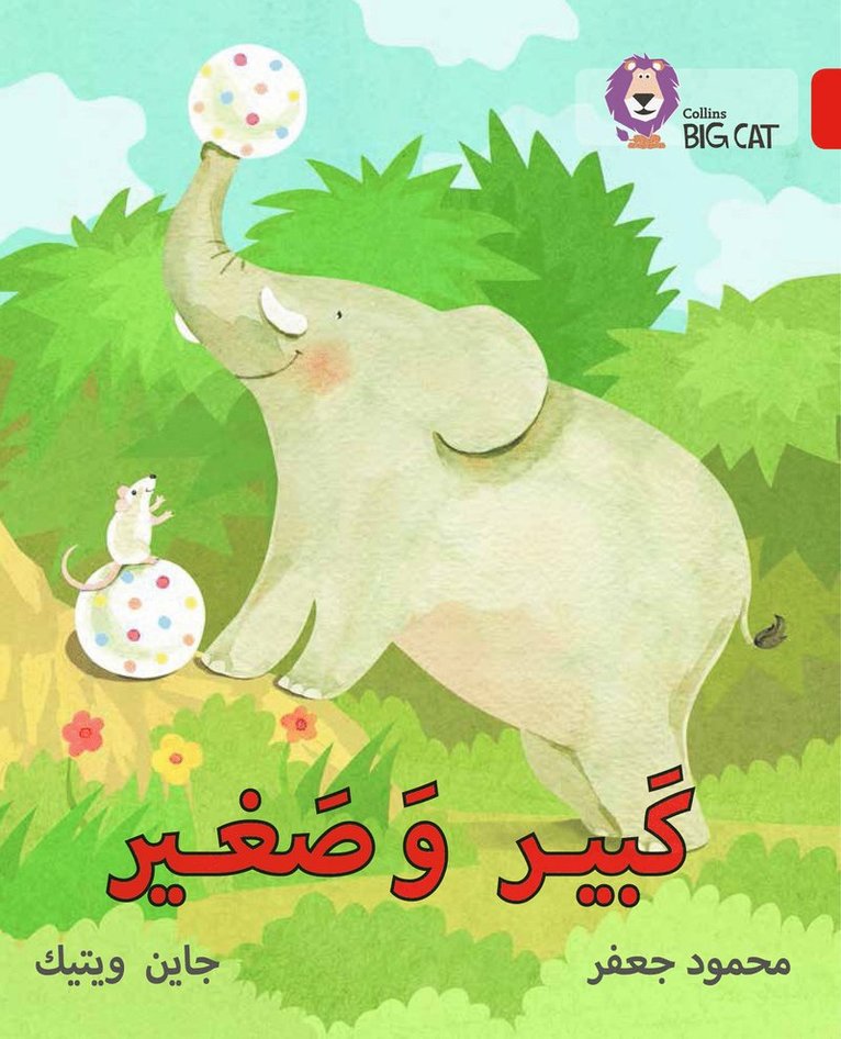 Mahmoud Gaafar, Jane Wightwick - Big and Small, Häftad