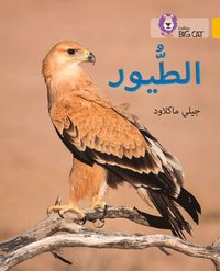 bokomslag Birds