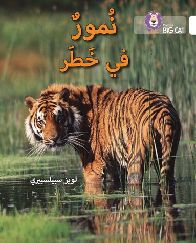 Louise Spilsbury - Tigers in Danger, Häftad