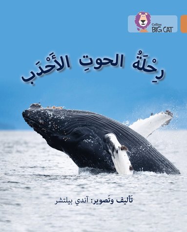 Andy Belcher - Journey of Humpback Whales, Häftad