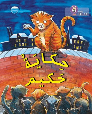 Michaela Morgan - Hakim’s Tale, Häftad