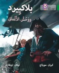bokomslag Blackbeard and the Monster of the Deep