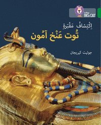 bokomslag Discovering Tutankhamun's Tomb