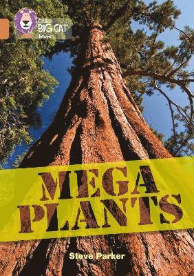 bokomslag Mega Plants
