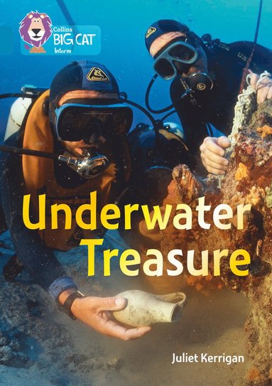 bokomslag Underwater Treasure