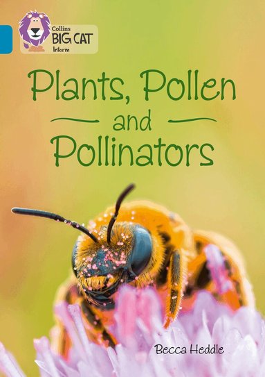 Becca Heddle - Plants, Pollen and Pollinators, Häftad