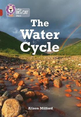 bokomslag The Water Cycle