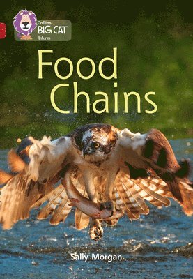 bokomslag Food Chains