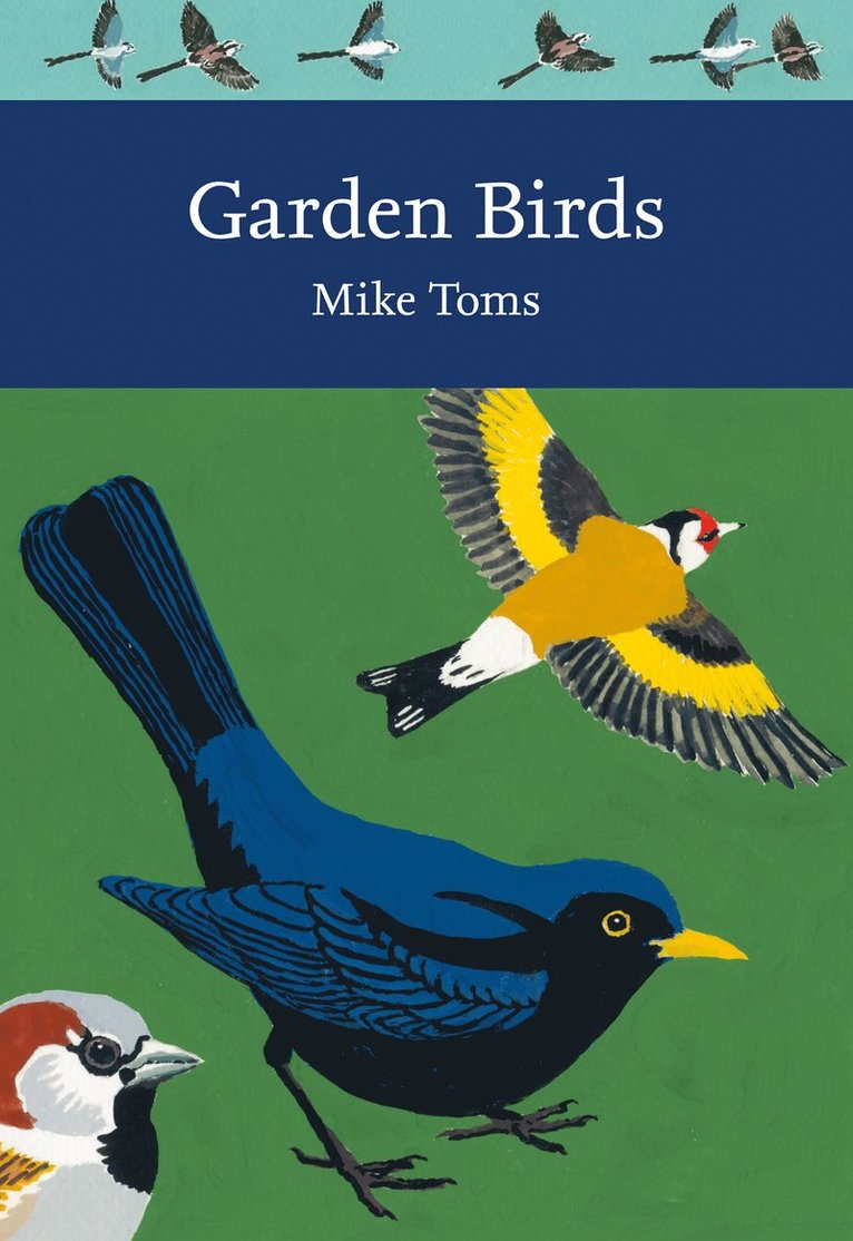 Mike Toms - Garden Birds, Häftad