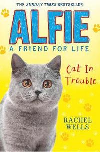 bokomslag Alfie Cat in Trouble