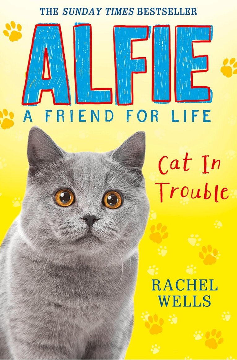 Rachel Wells - Alfie Cat in Trouble, Häftad