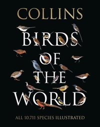 bokomslag Collins Birds of the World