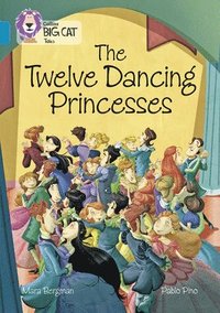 bokomslag The Twelve Dancing Princesses