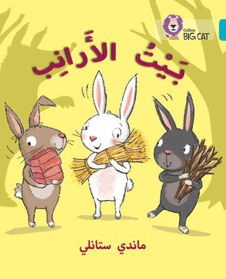 Rabbits’ House