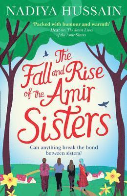 bokomslag The Fall and Rise of the Amir Sisters