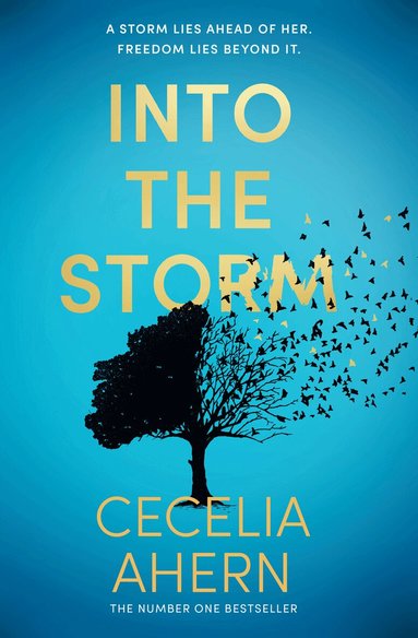 Cecelia Ahern - Into the Storm, Häftad