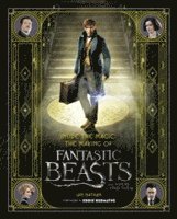 Inside the magic: the making of fantastic beasts and where to find them