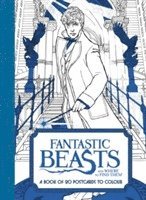 bokomslag Fantastic Beasts and Where to Find Them: A Book of 20 Postcards to Colour