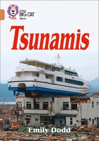 bokomslag Tsunamis