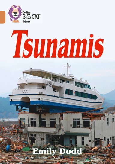 bokomslag Tsunamis