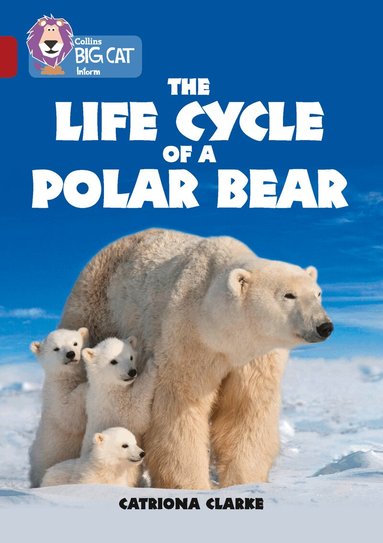 Catriona Clarke - Life Cycle of a Polar Bear, Häftad