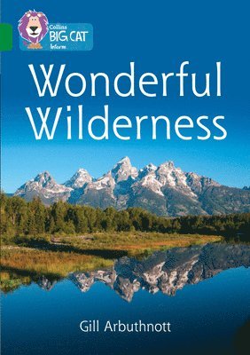 bokomslag Wonderful Wilderness
