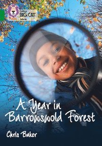bokomslag A Year in Barrowswold Forest
