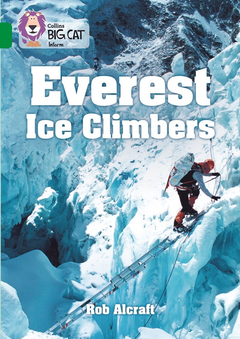 Everest Ice Climbers